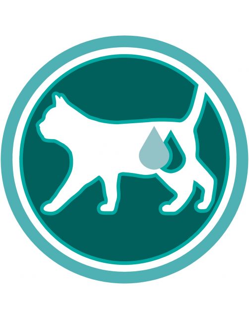 Purina One Adult Kip&Granen - Kattenvoer