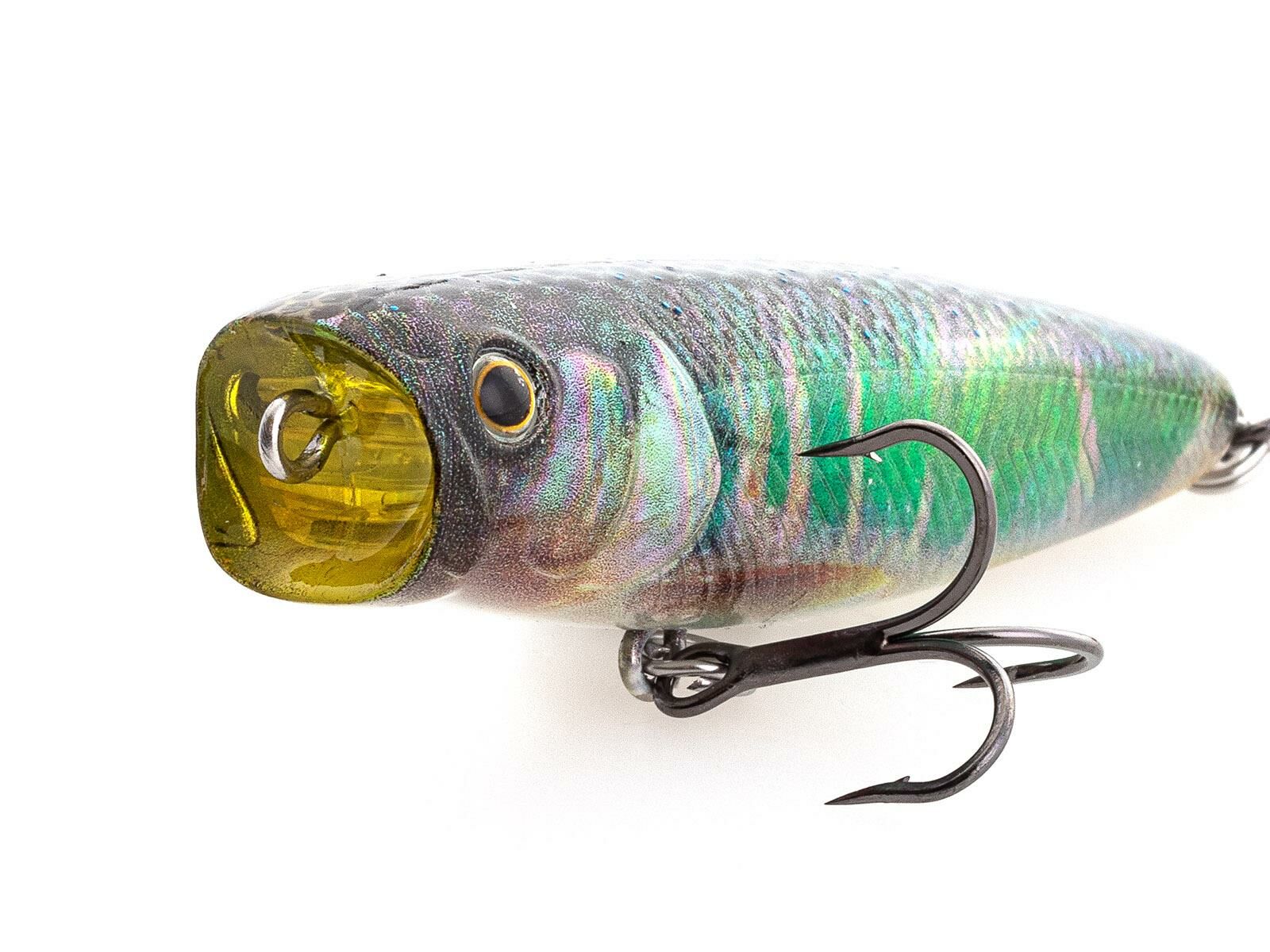 Tough Bug 65 (395) Layered Hologram Nama Oikawa(Nories)