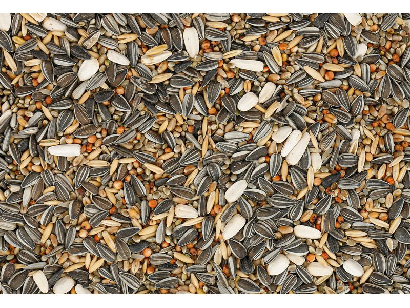 Eric Schweizer Vogelfutter Wildvogelmischung Classic 5 kg Reichhaltige Mischung mit Samen und Kernen