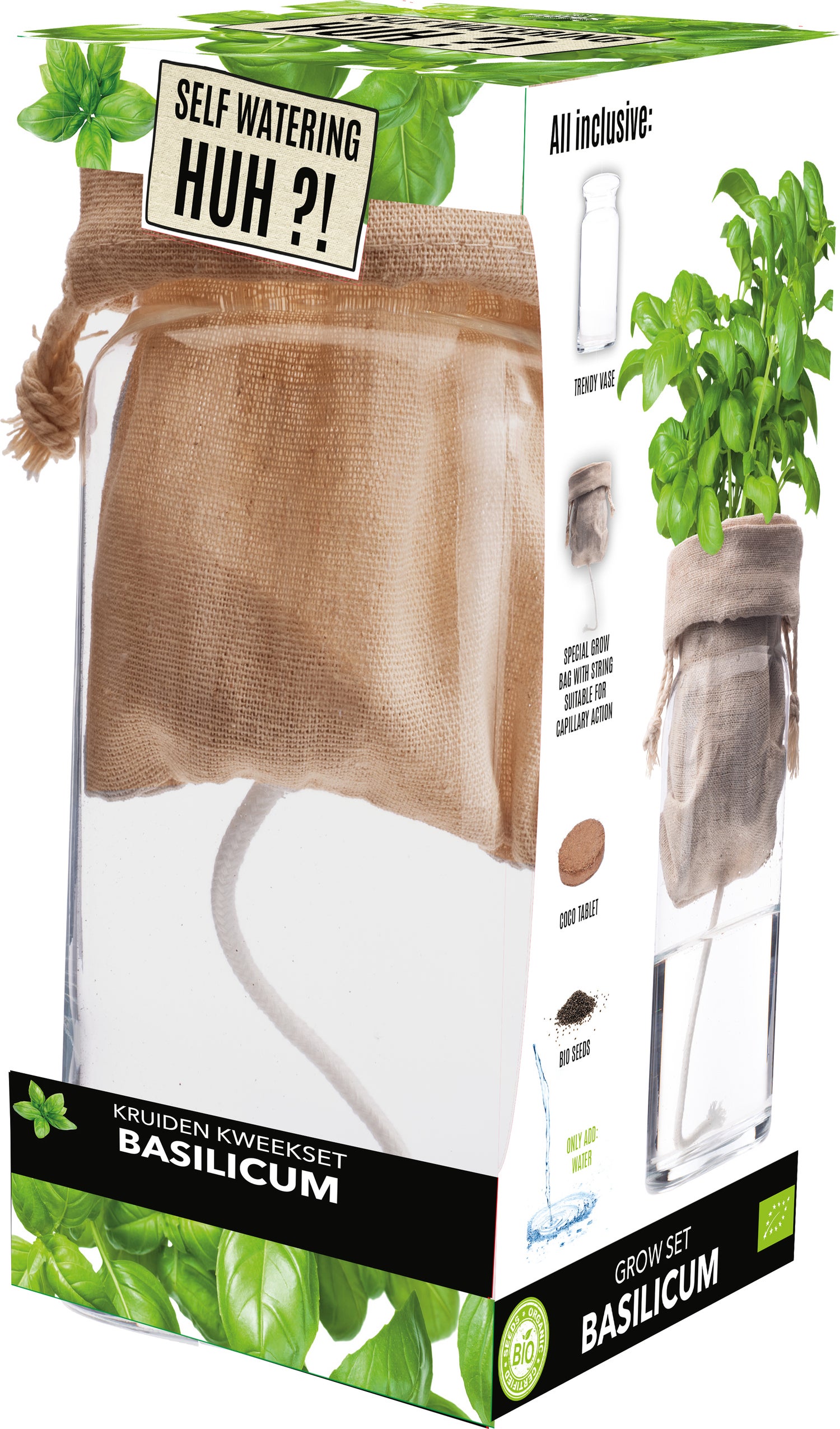 Florex Biologische kruidenset Basilicum (Ocimum basilicum) zelf bewaterend