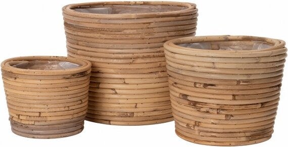 Intratuin plantenmand Mees naturel D 26 H 20 cm
