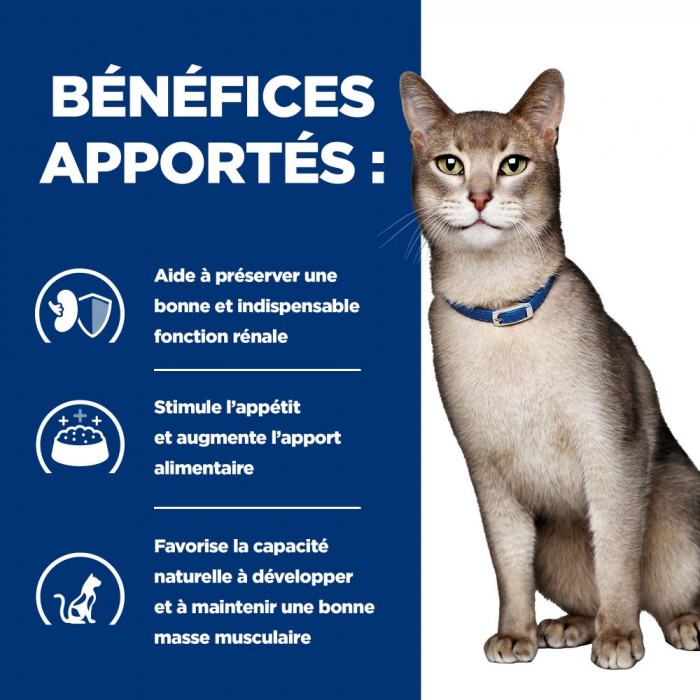 HILL'S Prescription Diet k/d Kidney Care au Thon - Croquettes pour chat