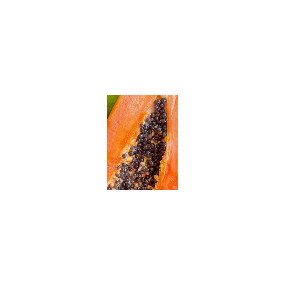 Byphasse - Family Fresh Délice Haarmaske – Papaya, Passionsfrucht und Mango