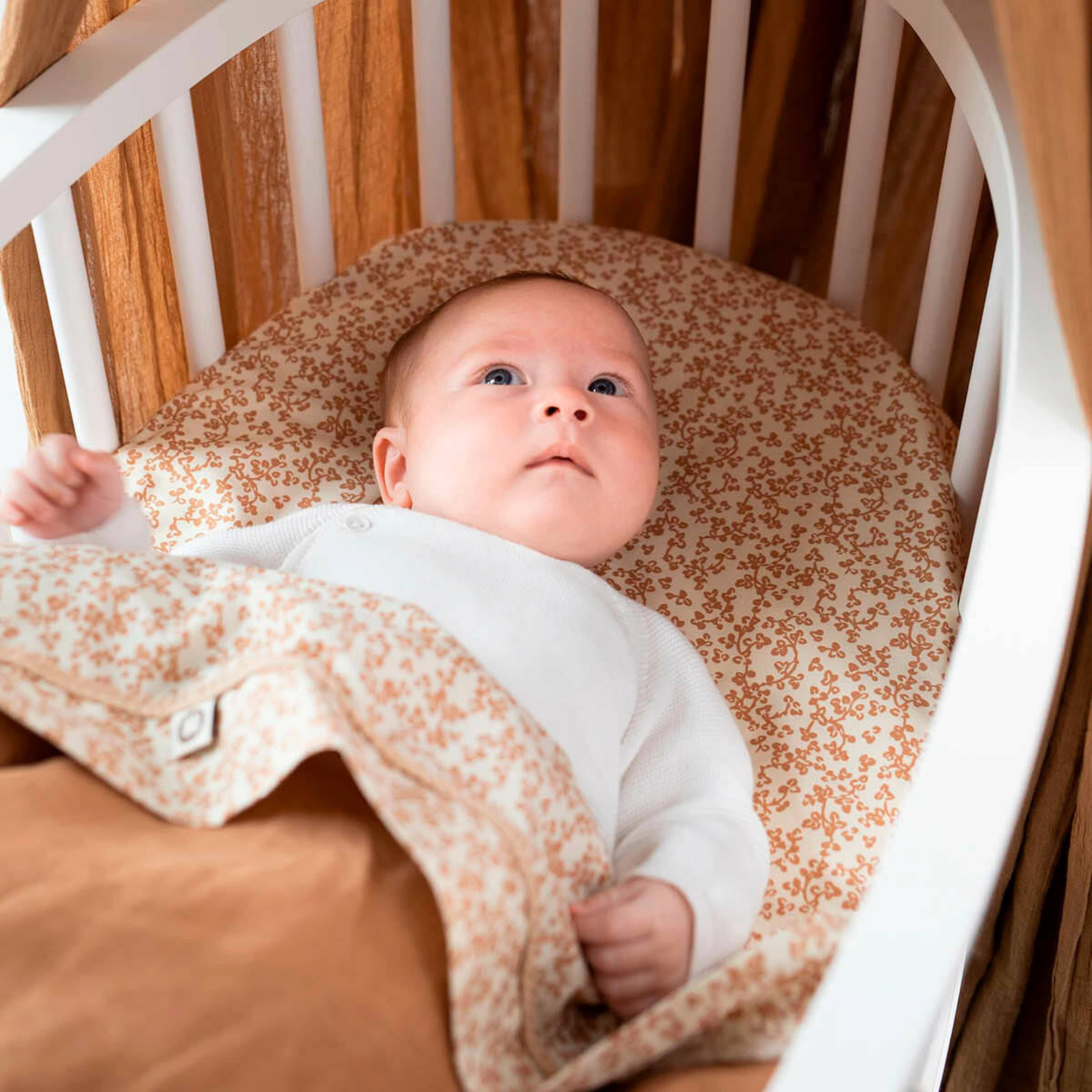 Noppies Baby Strickjacke Pino White