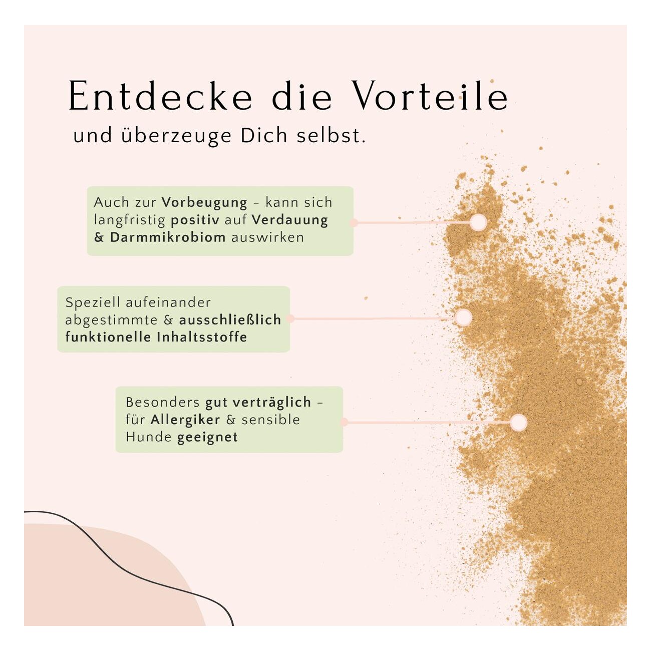 FAVLY Petfood FloraVITAL - Darmaufbau