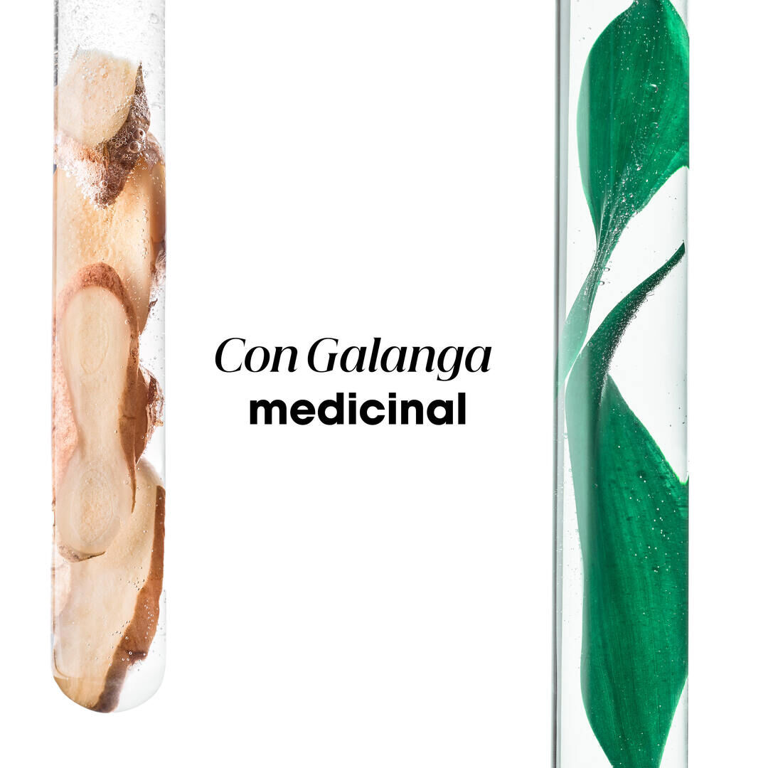 KLORANE  Galanga Champô Anticaspa Reequilibrante - 200ml