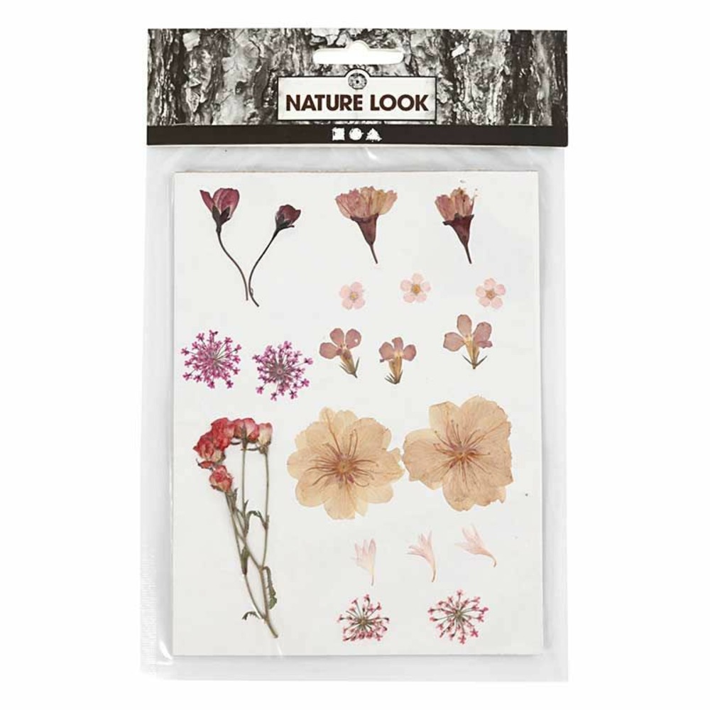 20 fleurs séchées et pressées - rose clair