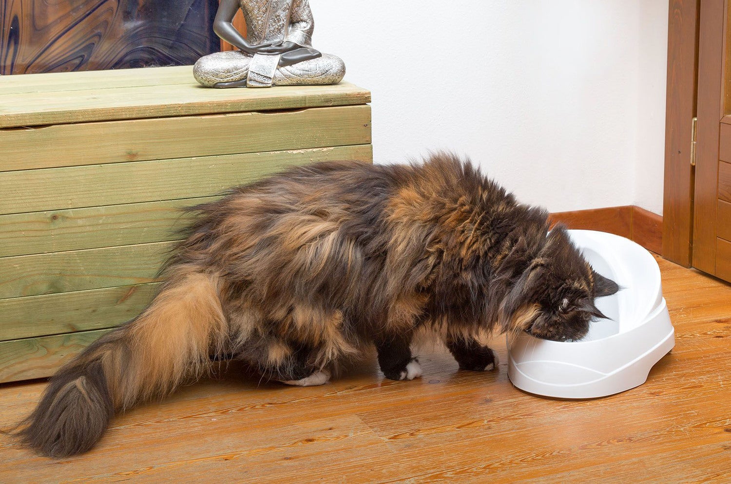 Ferplast katten drinkfontein Vega wit 2 L