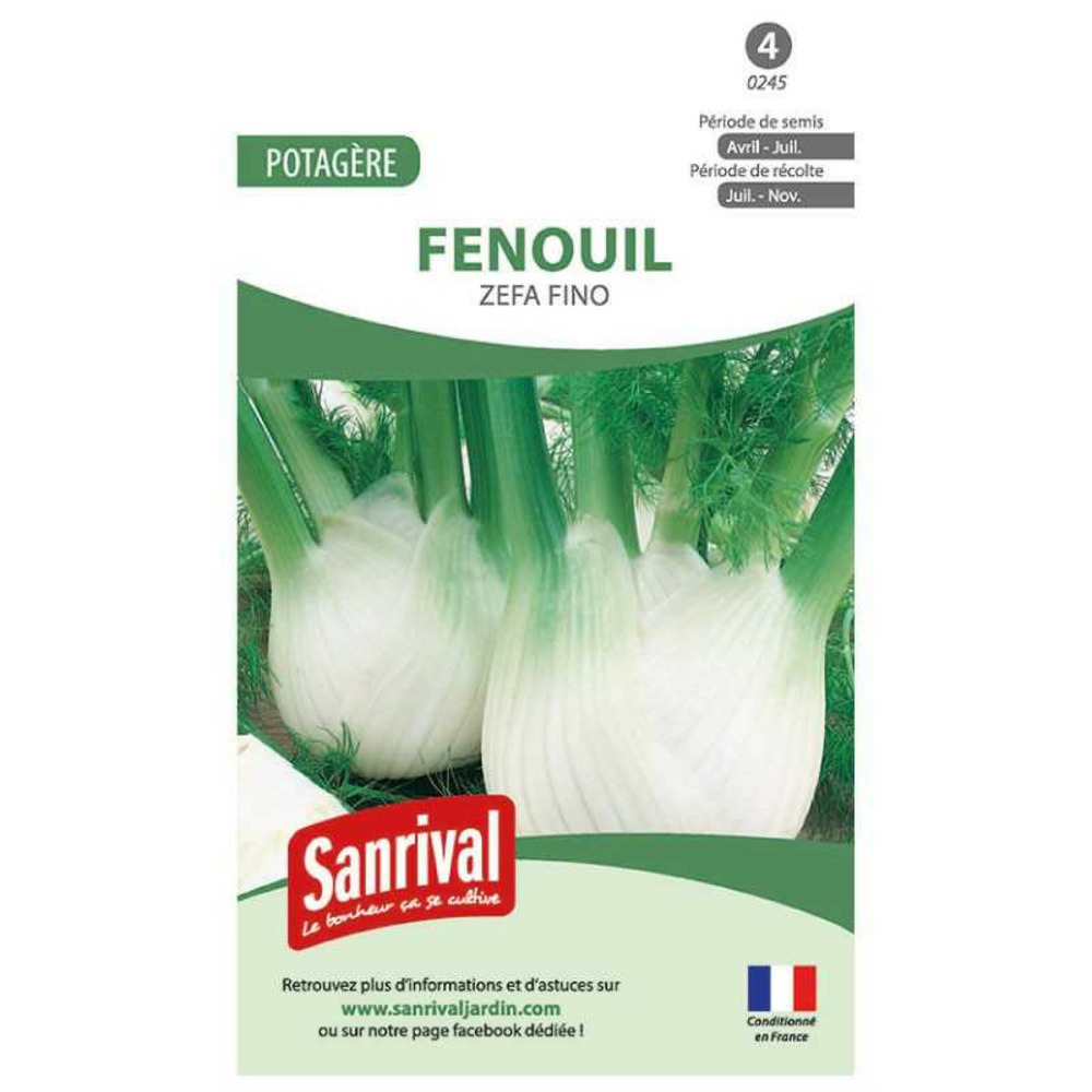 Graines fenouil zefa fino
