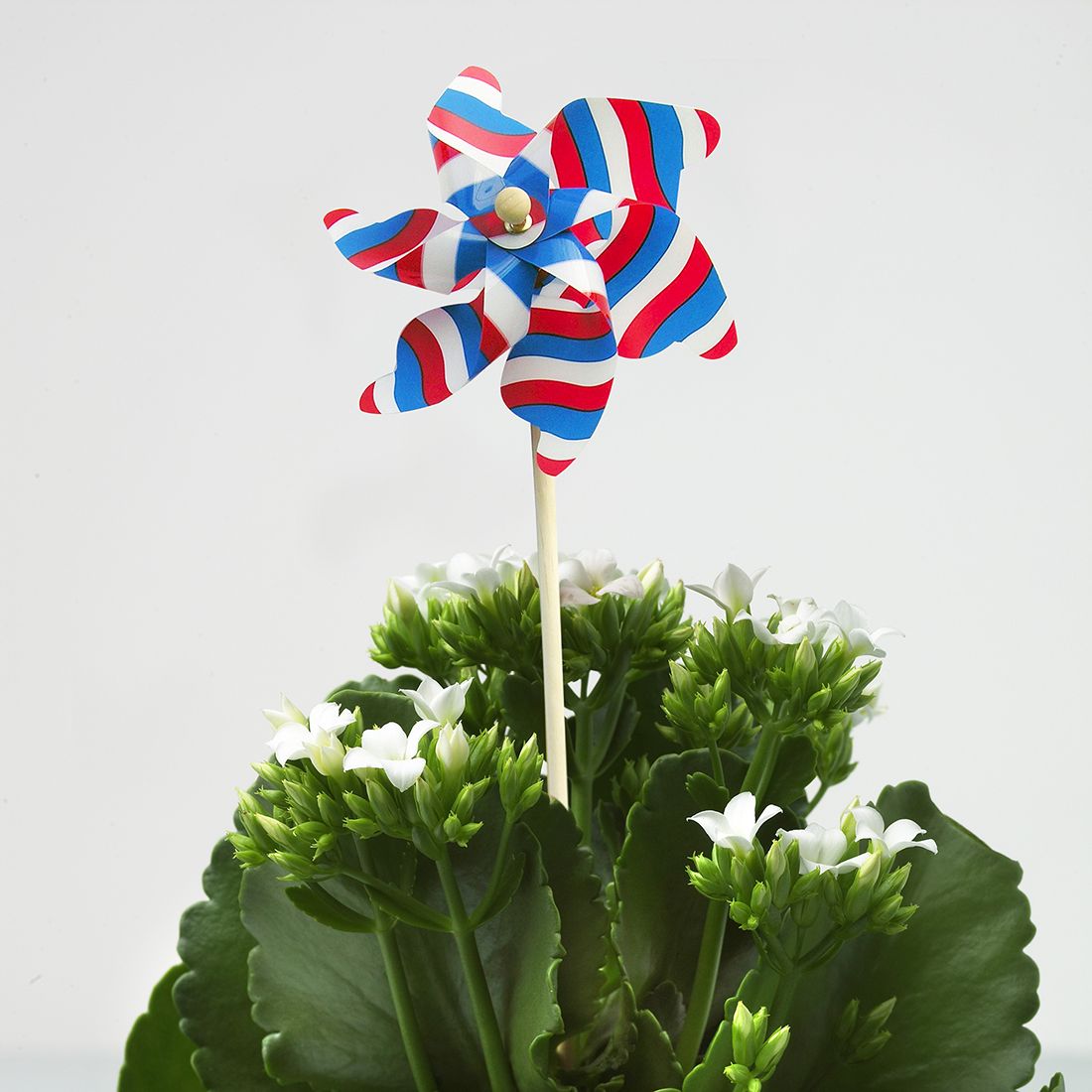 17.Mai hagevindmølle