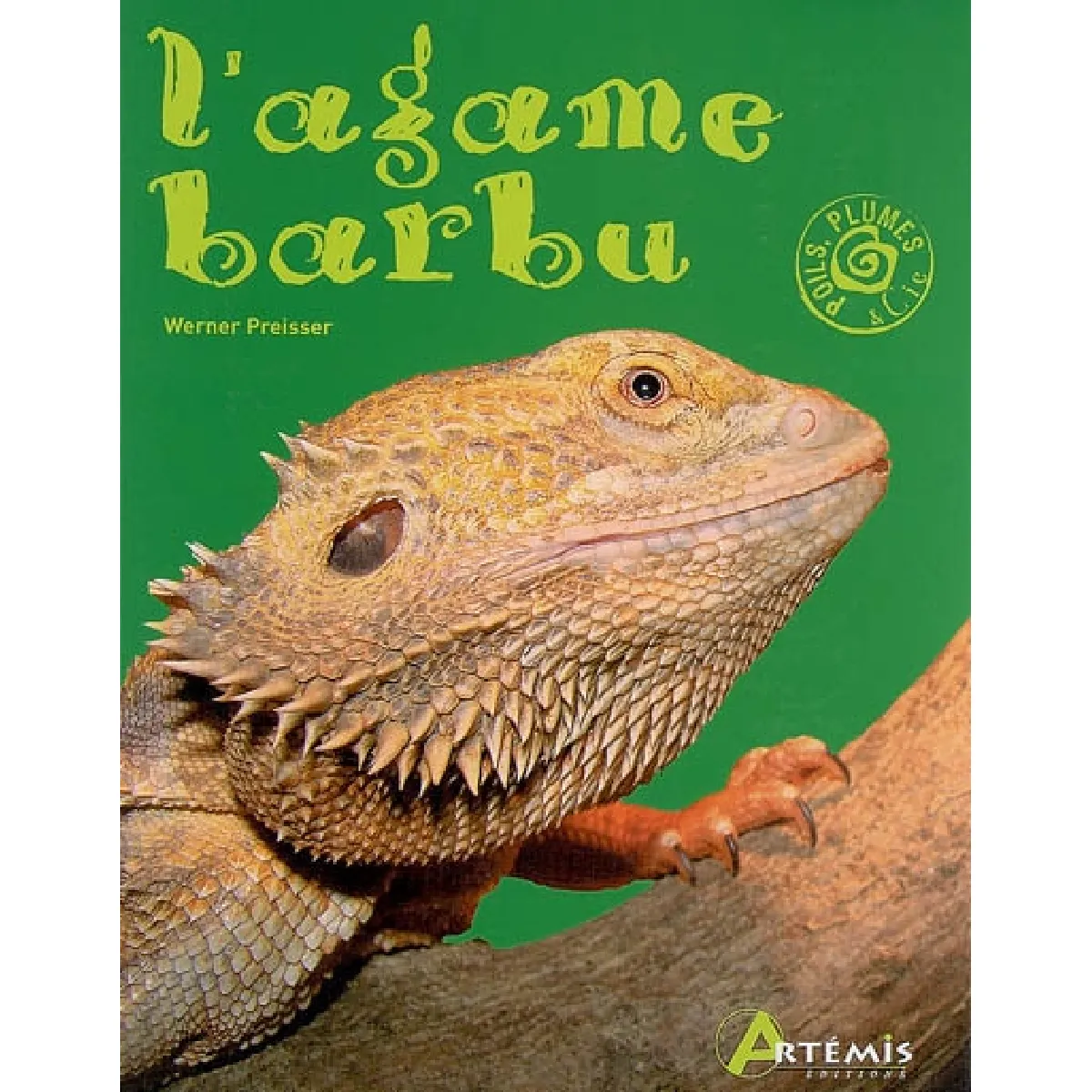 L'agame barbu · Occasion