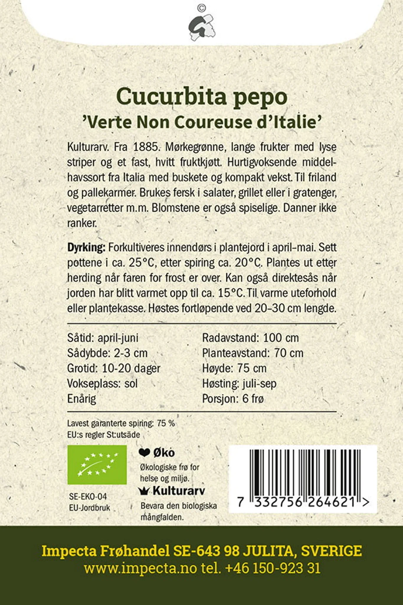 Cucurbita pepo 'Verte Non Coureuse d'Italie' Squash 'Verte Non Coureuse d'Italie'
