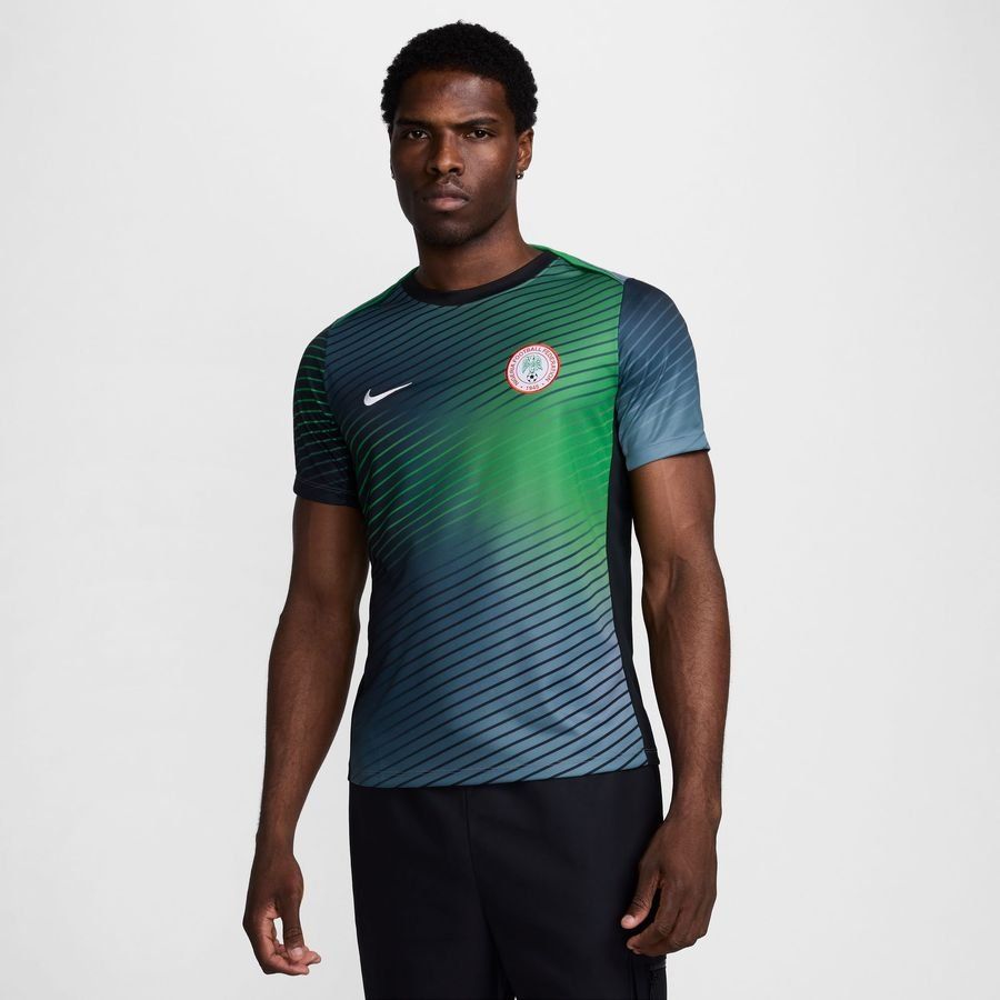 Nigeria T-shirt d'Entraînement Dri-FIT Academy Pro Avant-Match - Gris/Vert/Noir
