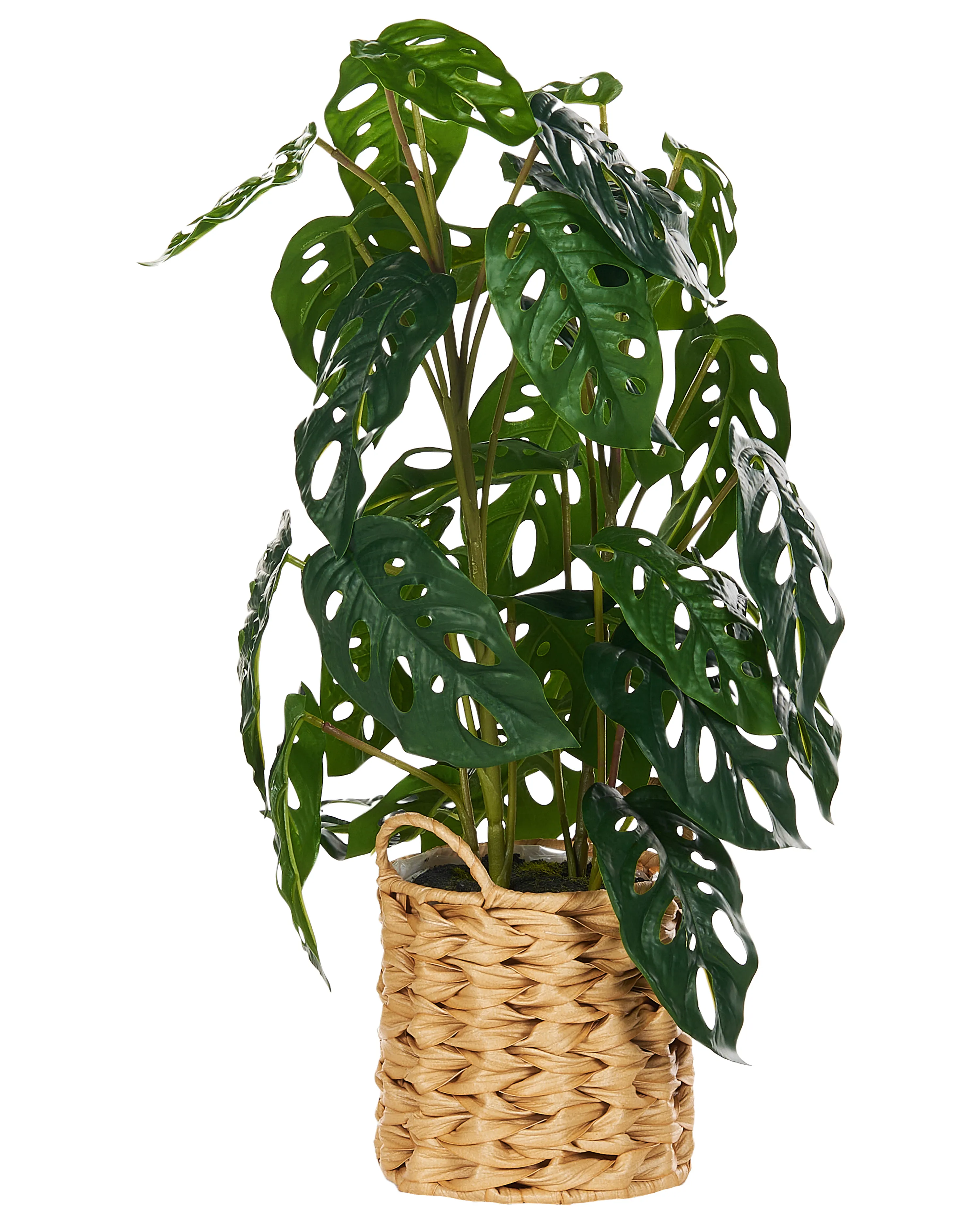 Kunstplant MONSTERA ADANSONII 53 cm Groen