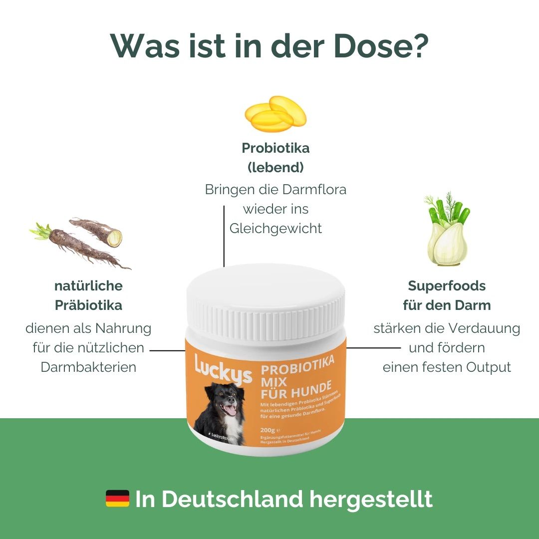 Luckys Box Probiotika-Mix für Hunde