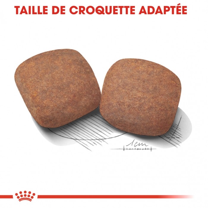 Royal Canin Giant Adult - Croquettes pour chien