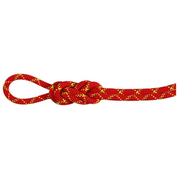 Mammut - 8.0 Alpine Core Protect Dry Rope - Corde à double