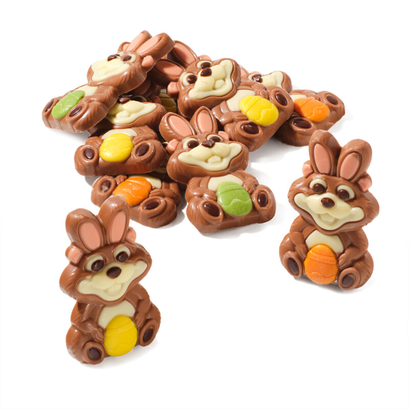 AH Excellent Chocolade paas hamsters