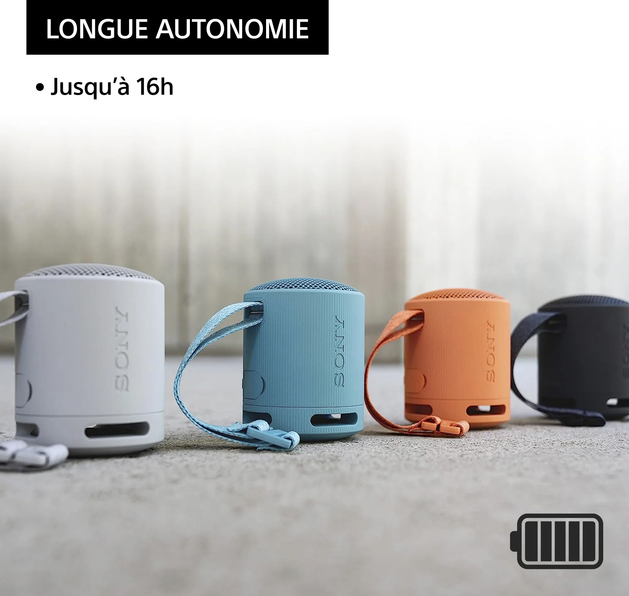 Sony SRS-XB100 Noir Enceintes Bluetooth portables