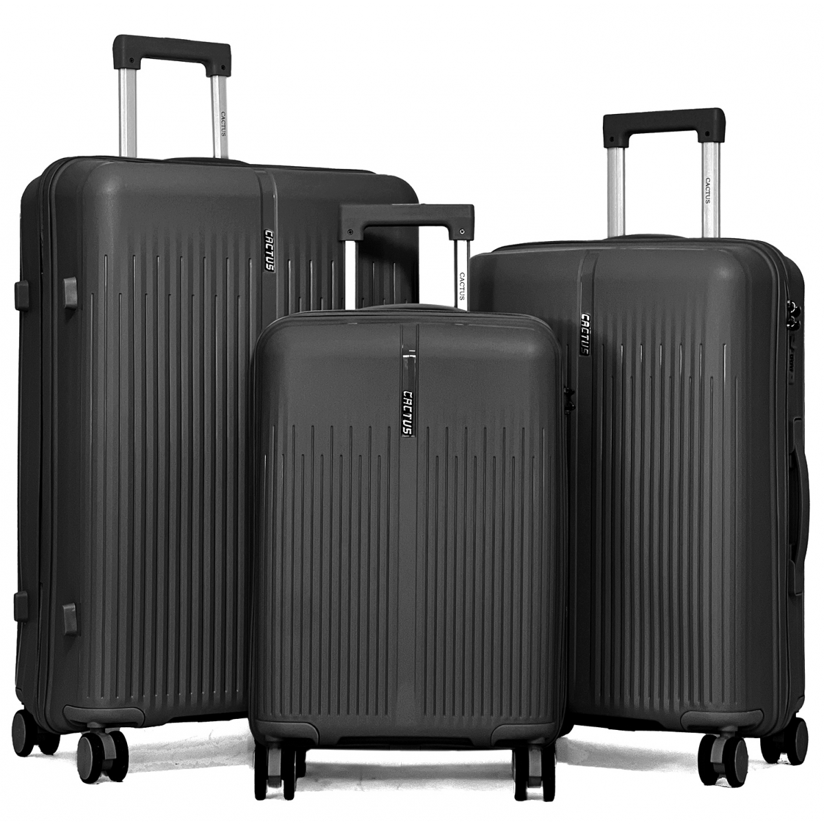Cactus Lot de 3 valises rigides dont une valise cabine Cactus TSA PETE