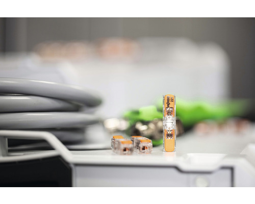 Wago 221-2411 Doorvoerconnector 0,2-4mm² 2-aderige hefboomklem 60 stuks