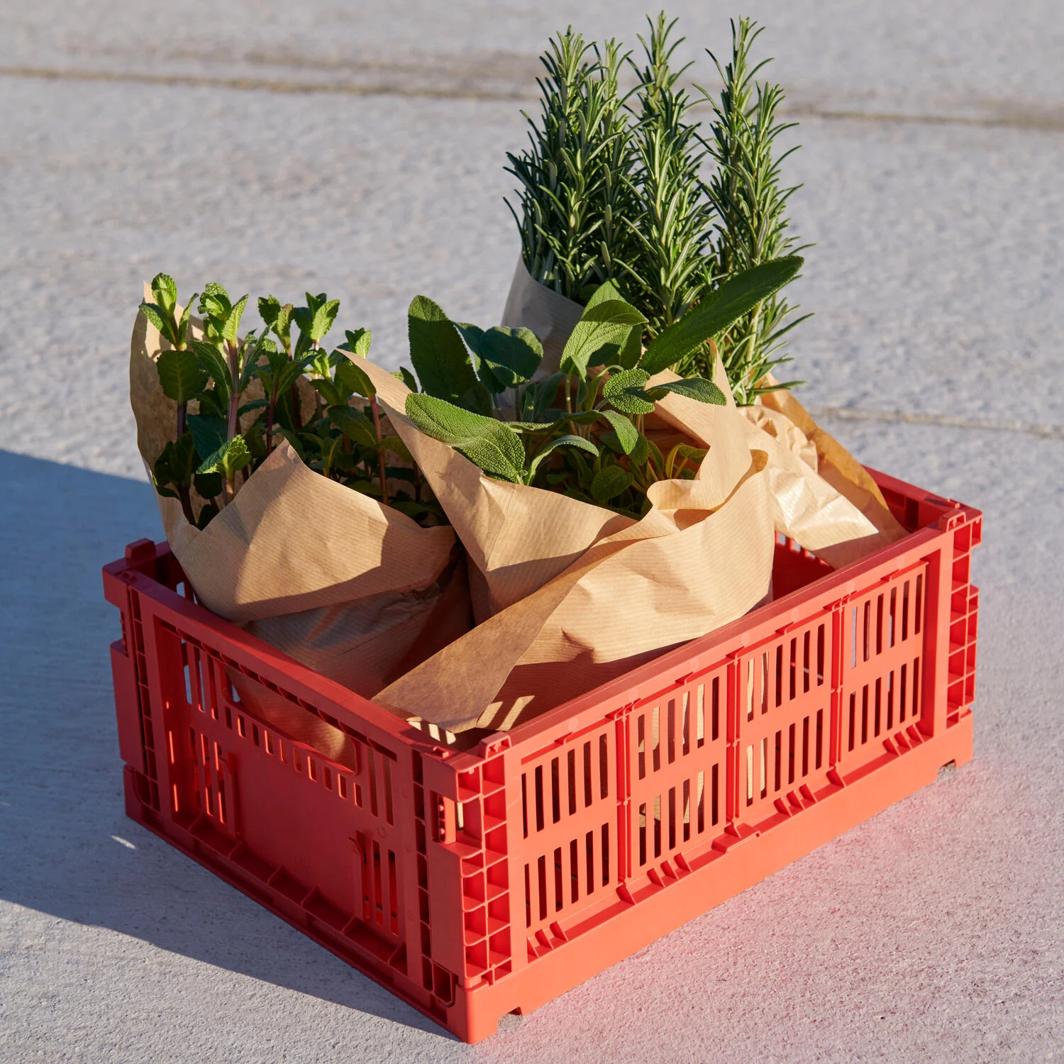 HAY  Colour Crate S kasse - rød