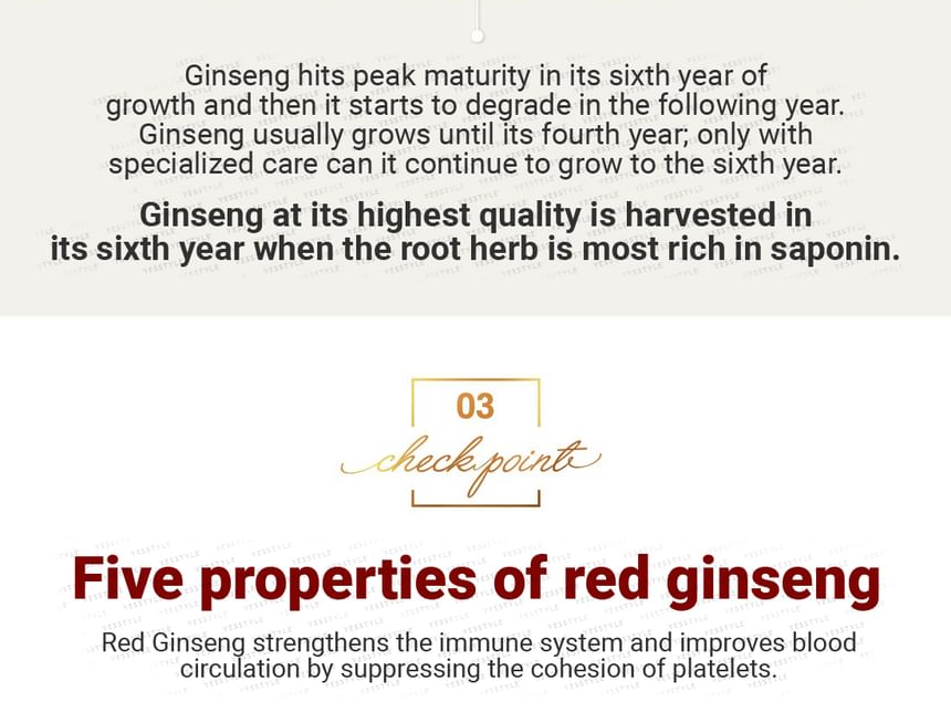 BOTO - Koreaanse rode ginseng extract pure stick goud