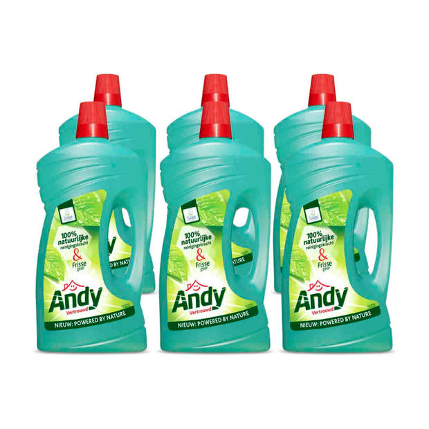 Andy Vertrouwd Allesreiniger 1L - 6 stuks