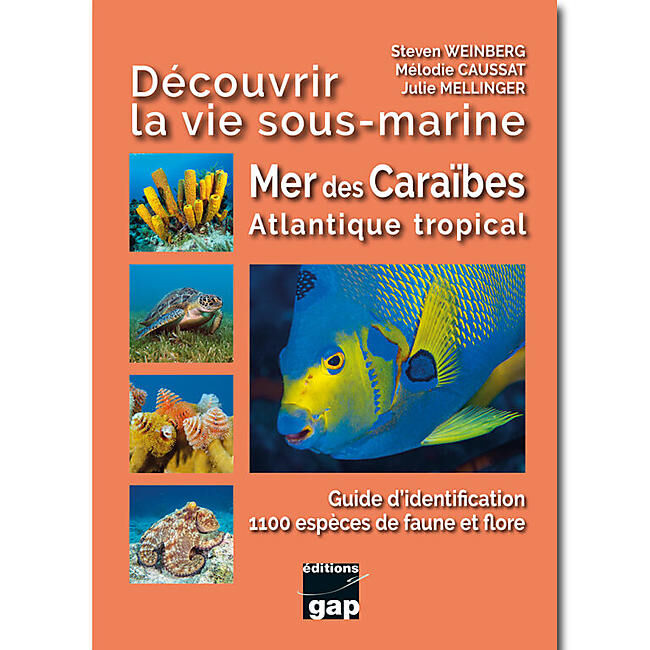 GAP DIFFUSION - DECOUVRIR LA VIE SOUS MARINE CARAIBES ET TROPICAL