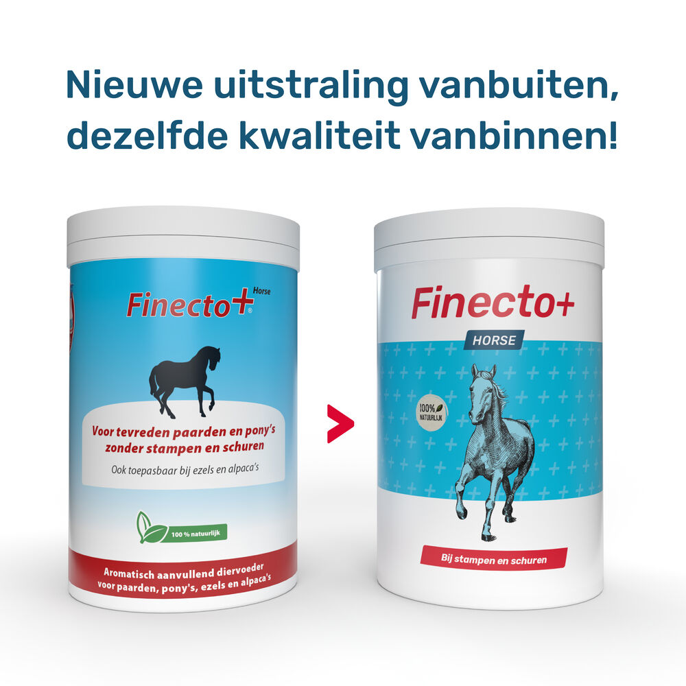 Finecto  Horse - Supplement - 0.6 Kilogram - Pot