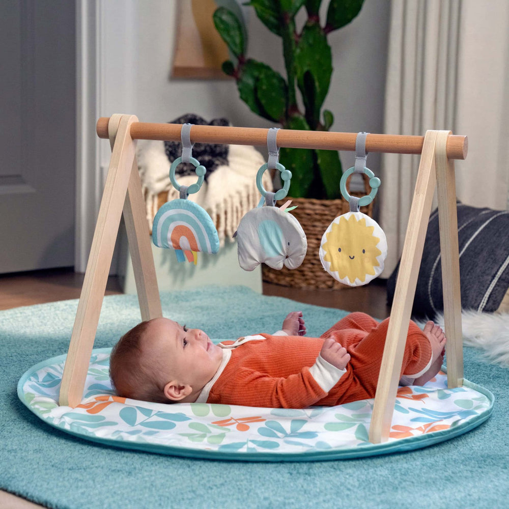 Køb Ingenuity Sun Valley™ Wooden Legetøj Aktivitetsbue & Play Mat