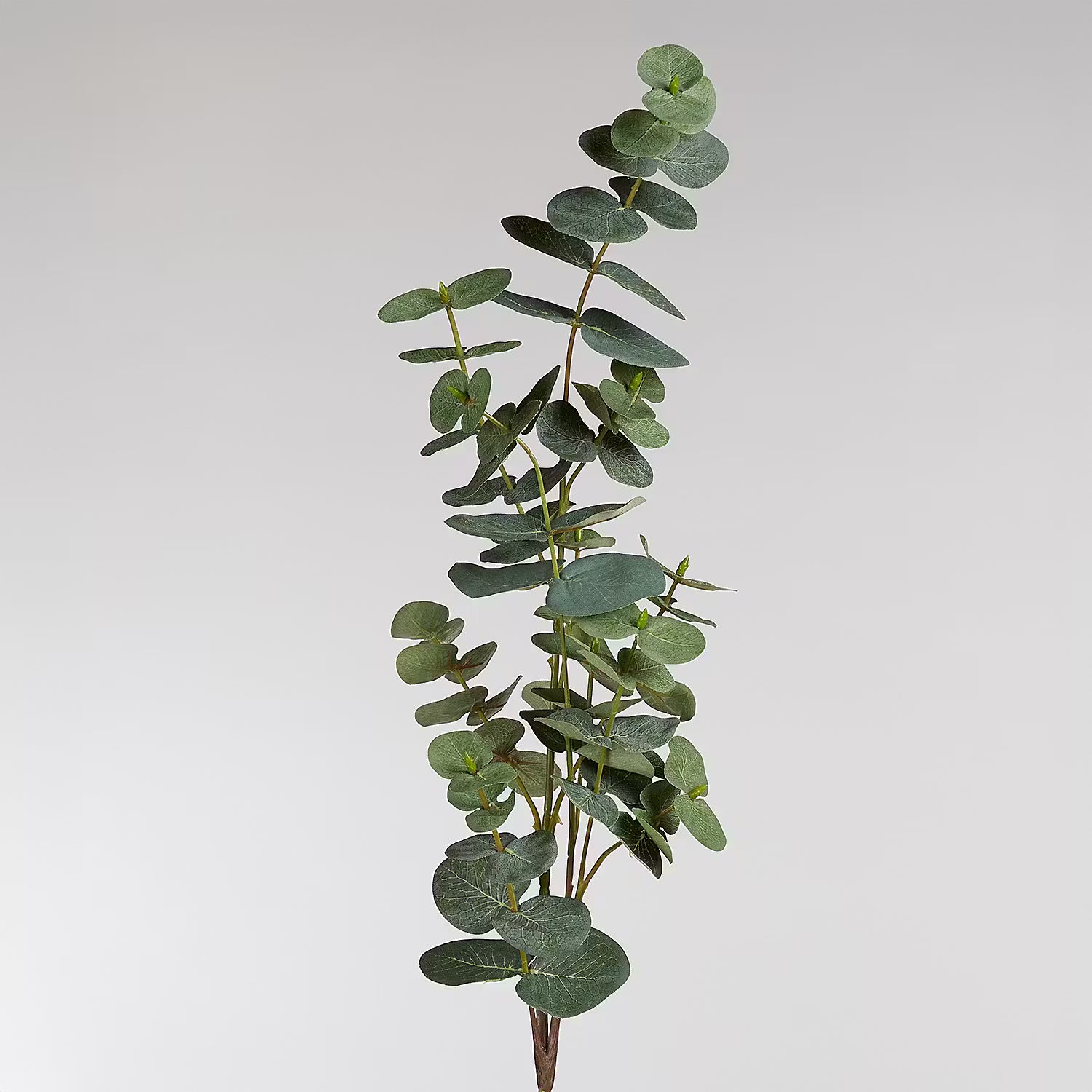 FLORISTA Kunstblume Eukalyptus 6er-Set