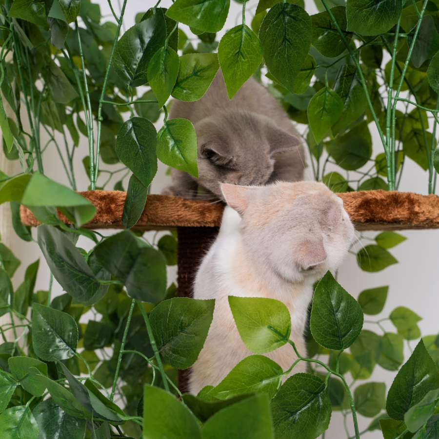 Arranhador para Gatos com Design de Folhas Naturais