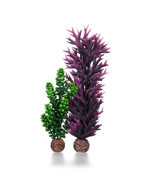 Biorb Zeeparels & Zeewier Olijfgroen - Aquarium - Ornament -