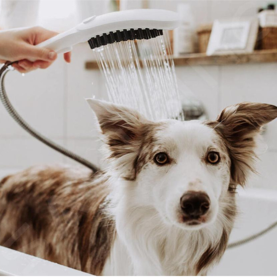 Chuveiro Hansgrohe White Dog