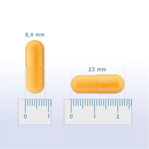 Pharmox Hond & Kat Groenlipmossel