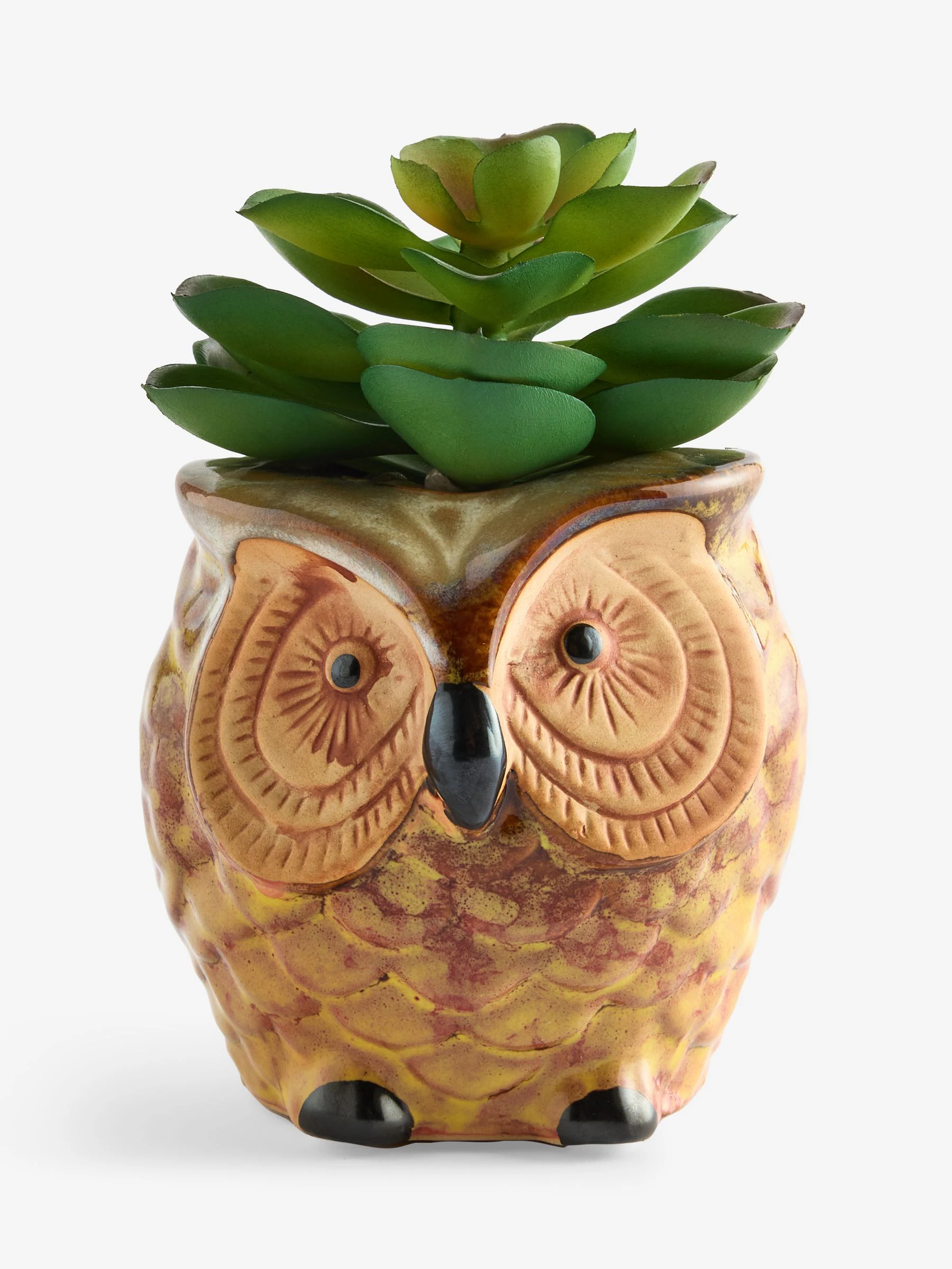 Artificial Succulent in Ceramic Owl Pot