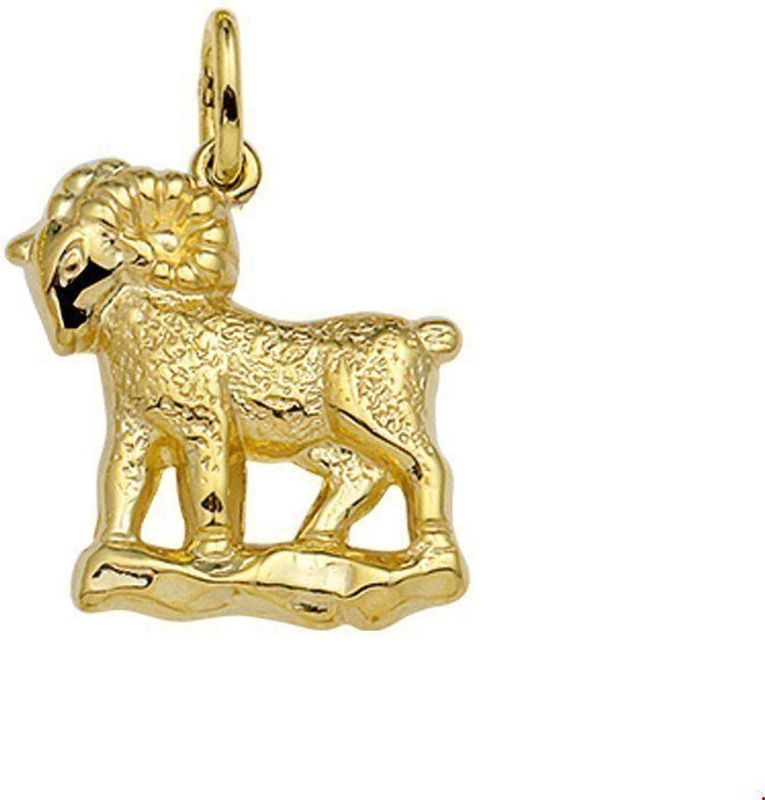Hanger Sterrenbeeld - 14K Geelgoud - Sieraden