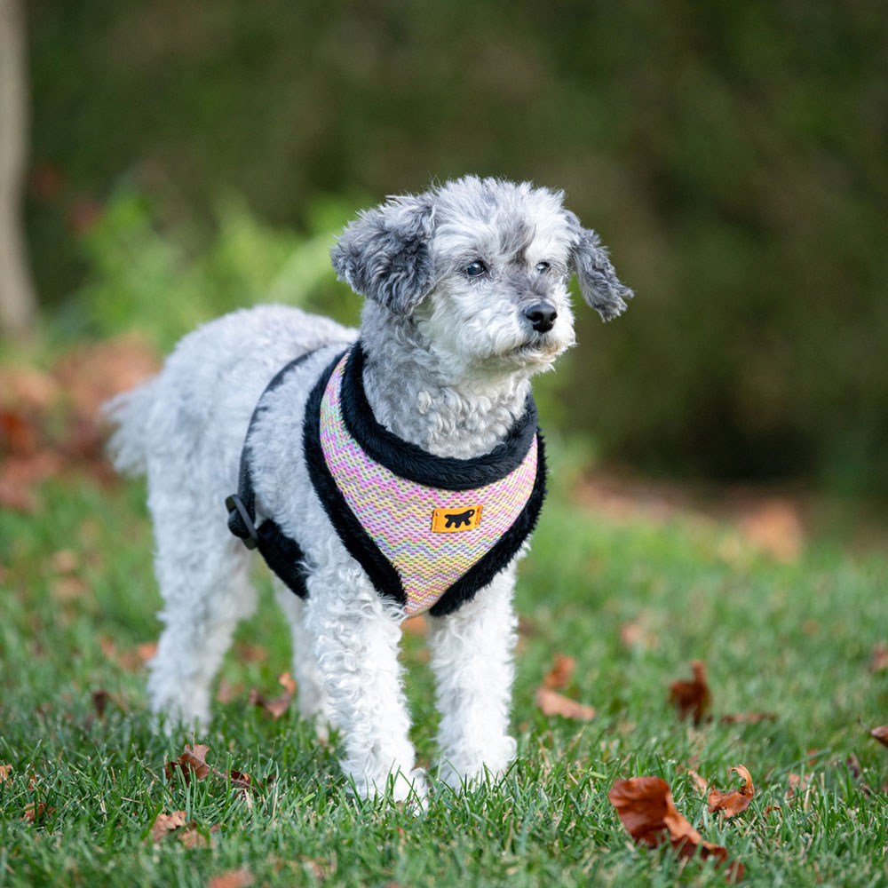 Harnais pour chiens nikita fur m, respirant, fourrure ecologique douce, sangle réglable, taupe