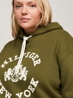 Moletom com capuz Curve Varsity Flocked