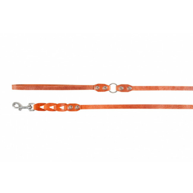 Laisse Connex Rouge Brun