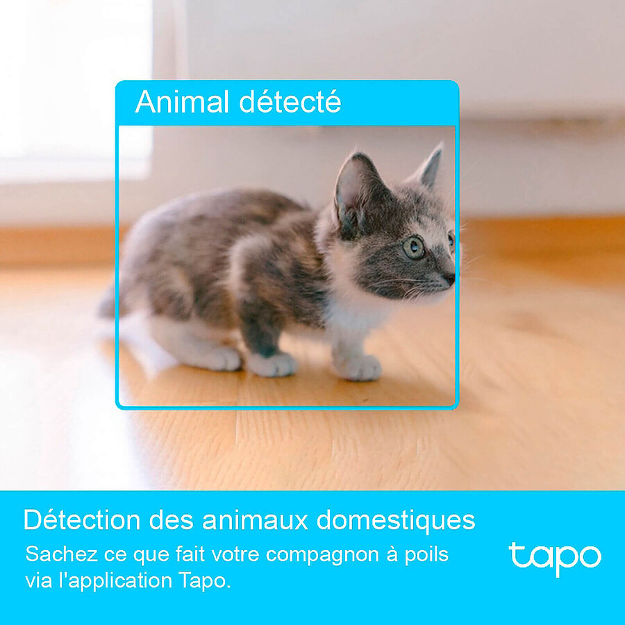 TP-LINK Tapo C225