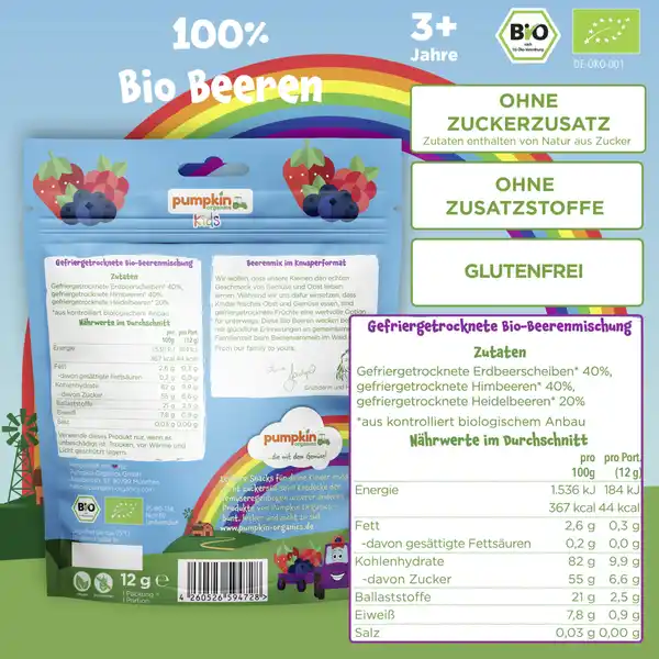 Bio Beerenmix Fruchtchips