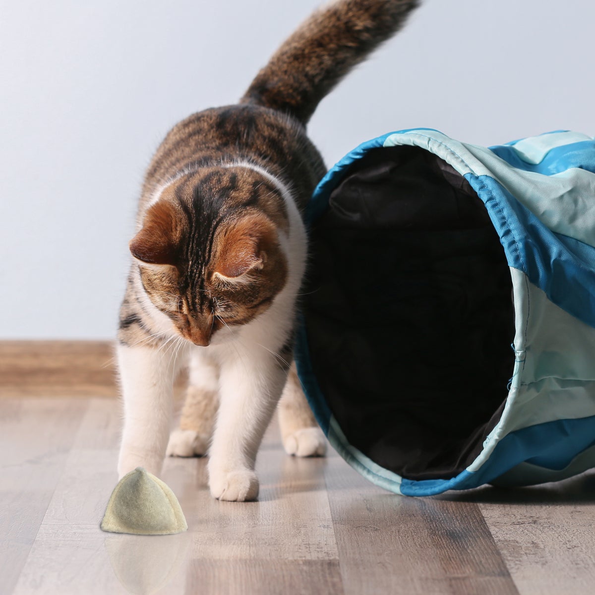 Speelkussen voor katten, gemaakt van zuiver scheerwol met een heerlijke vulling van kattenkruid en betoverende valeriaan. Handgenaaid in Duitsland.