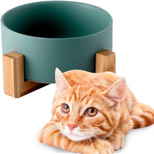 Comedouro e bebedouro Edipets em porcelana verde para animais de estimação