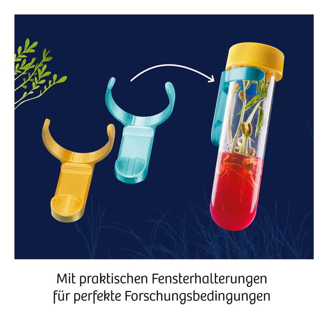 Fun Science - Aqua-Gel Pflanzen
