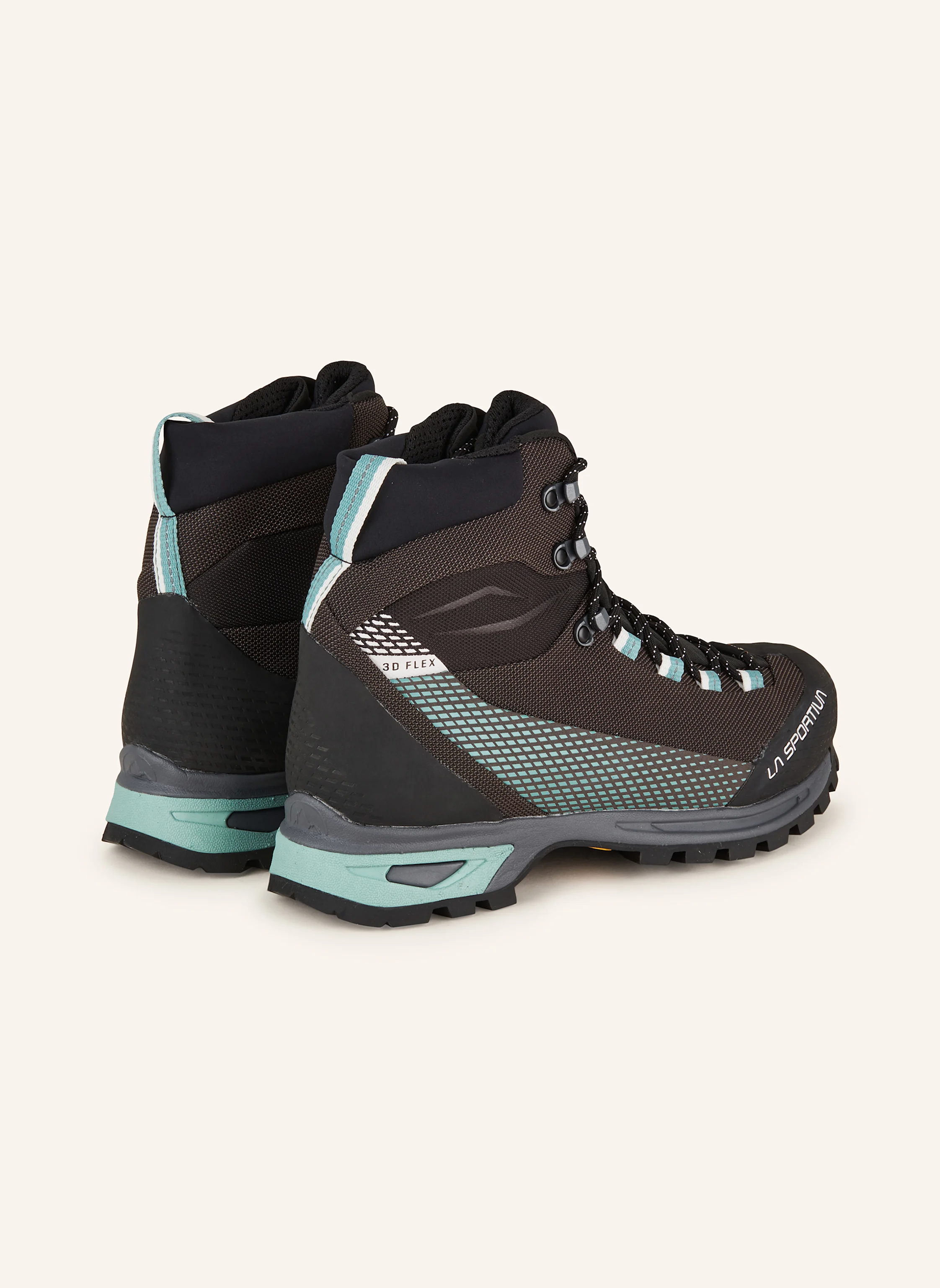LA SPORTIVA Bergschuhe TRANGO TRK GTX