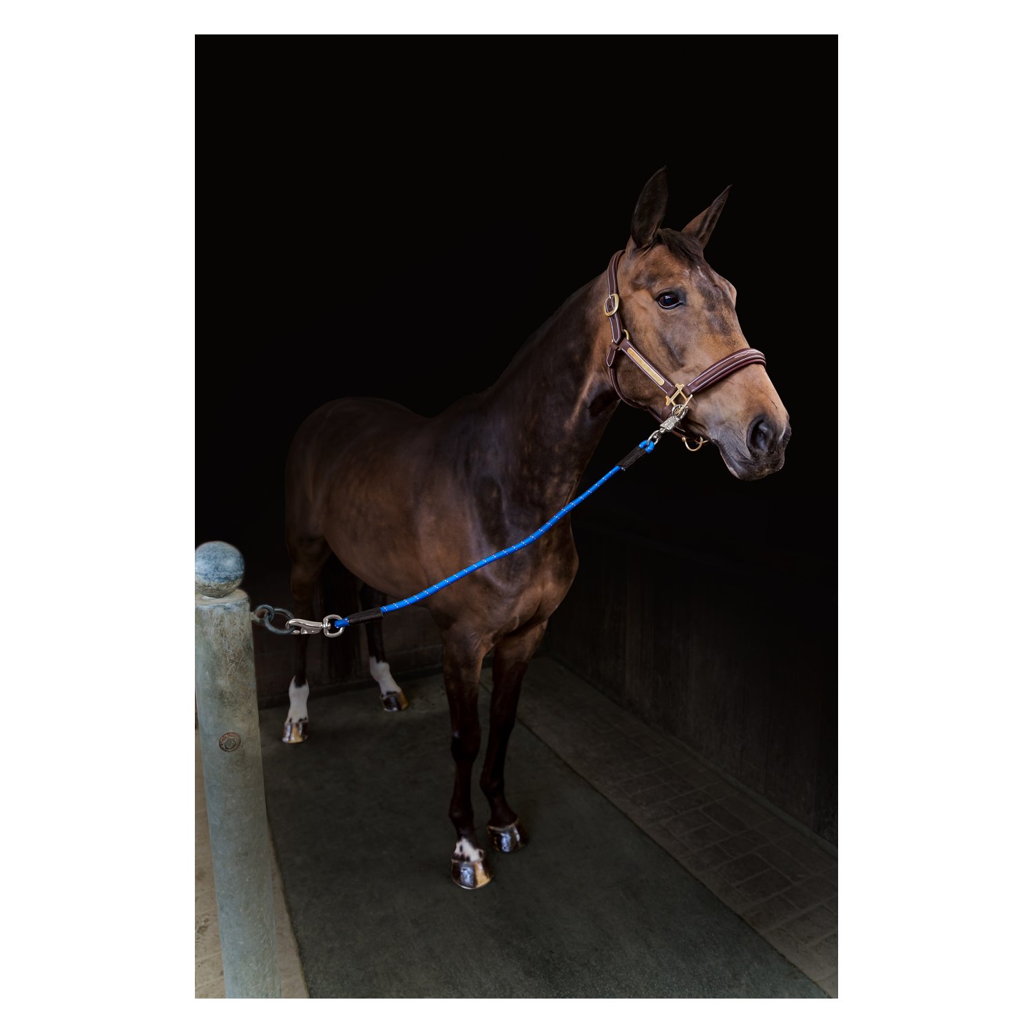 black forest Elastik-Anbinder  - blau
