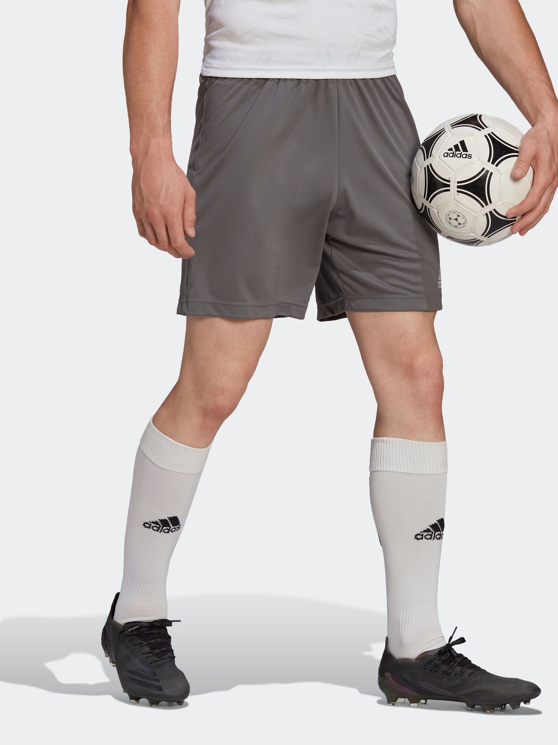 Grijs - adidas Entrada short