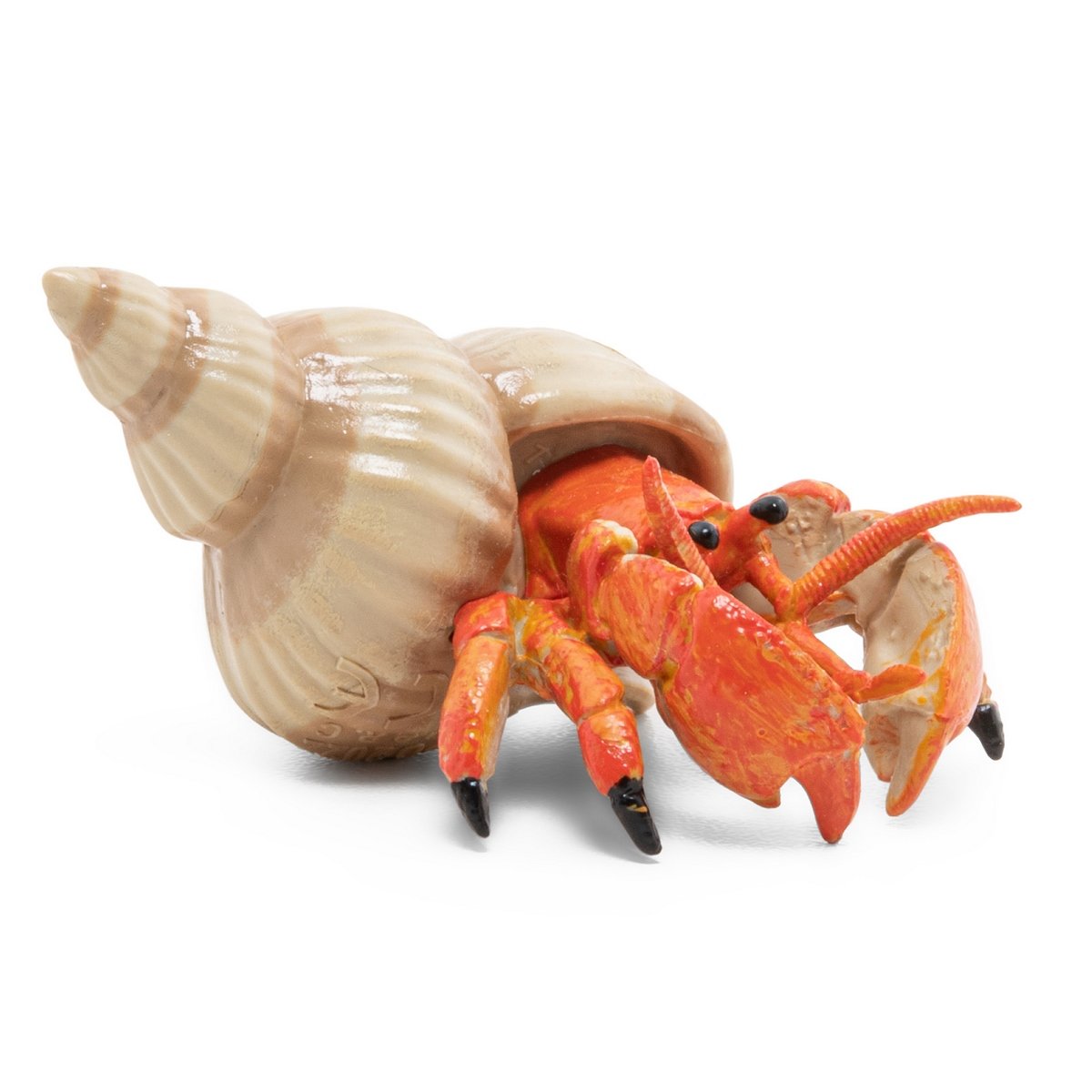 Figurine Bernard l'hermite
